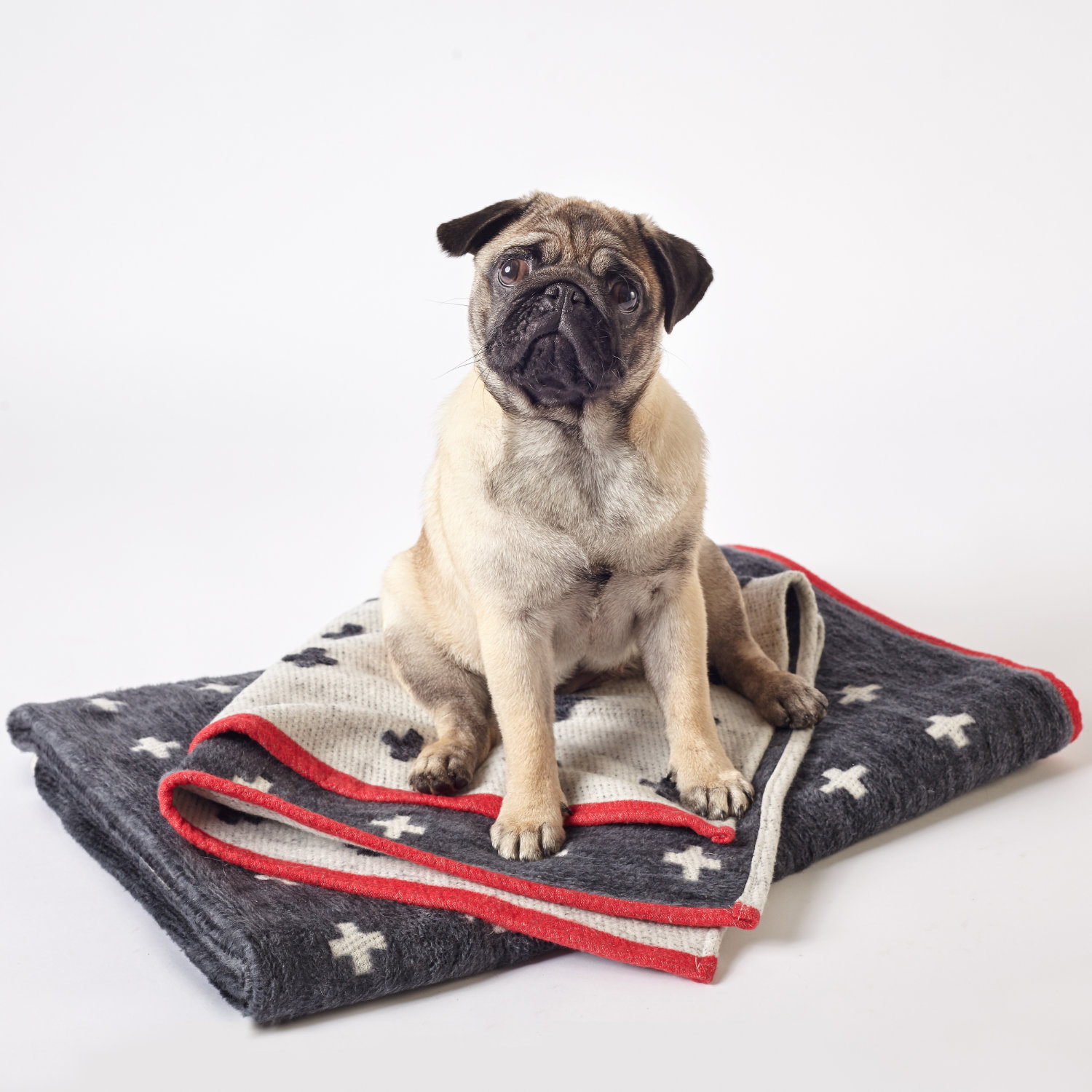 Hundedecke Graphite-White